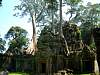 Ta Prohm